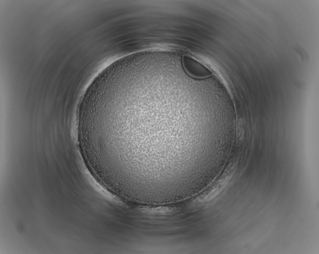 X0000113150851200909181749