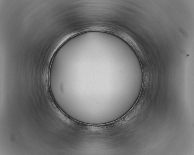 X0000113150852200909181749