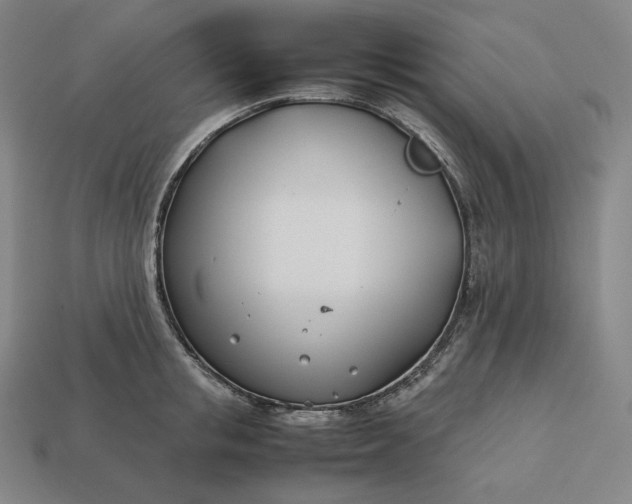 X0000113150853200909181749