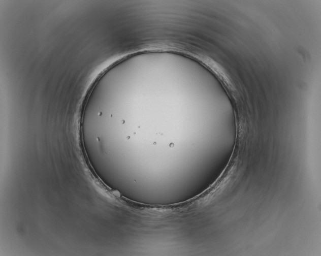 X0000113150854200909181749