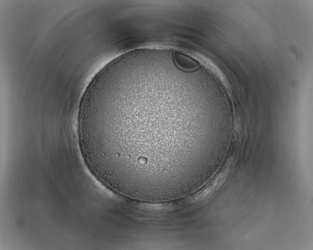 X0000113150855200909181749