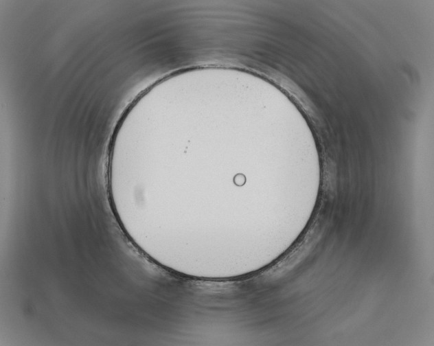 X0000113150856200909181749