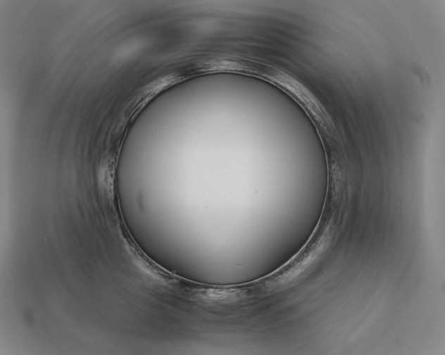 X0000113150857200909181749