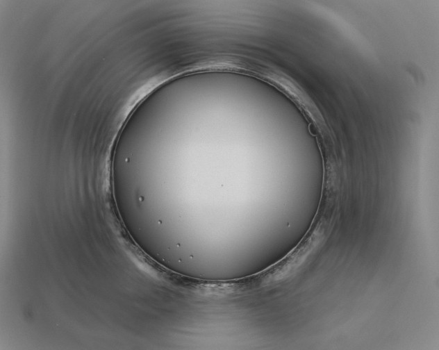 X0000113150858200909181749