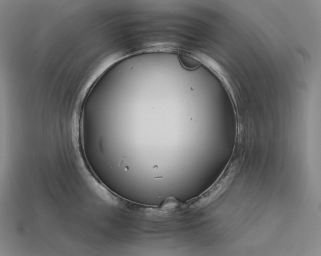 X0000113150859200909181749