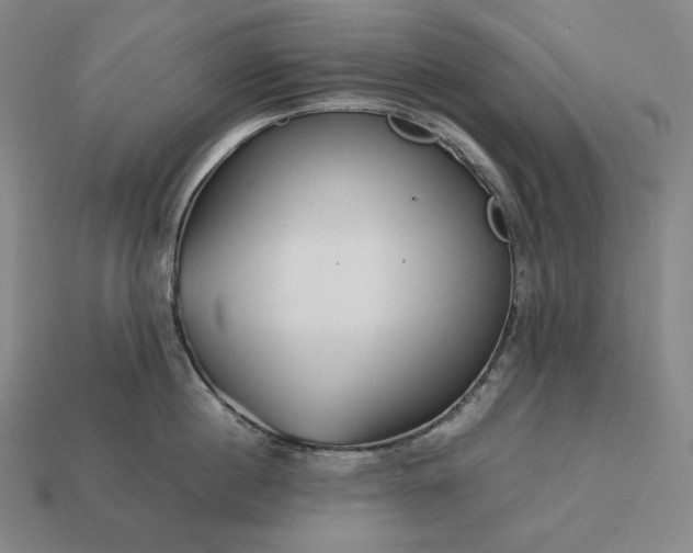 X0000113150860200909181749