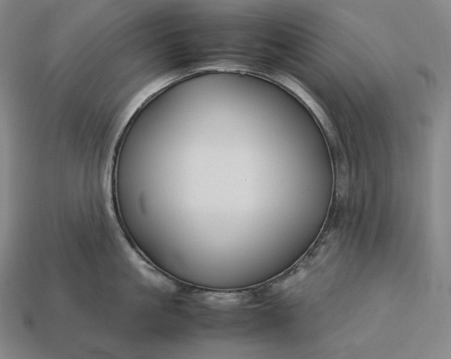 X0000113150861200909181749