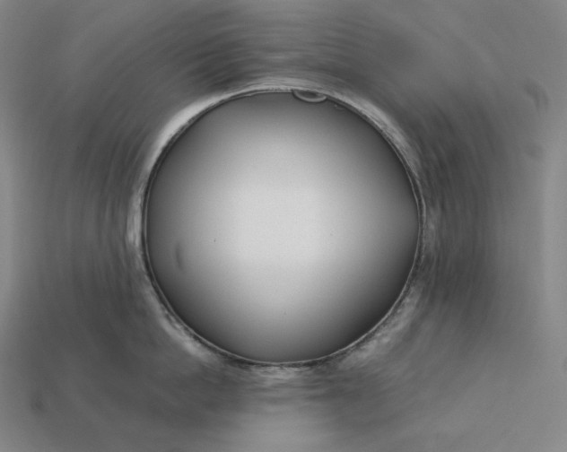 X0000113150862200909181749