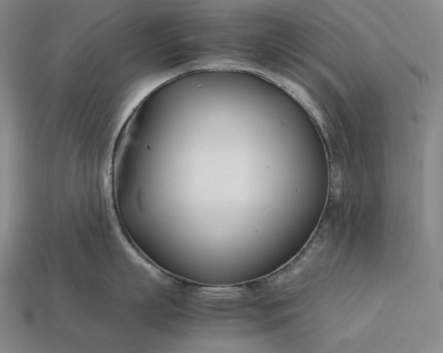 X0000113150863200909181749