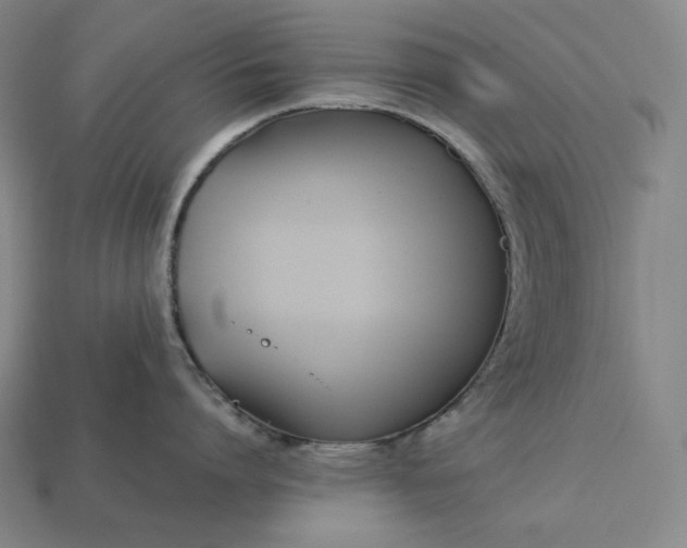 X0000113150864200909181749