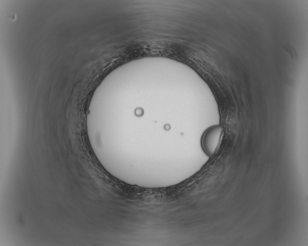 X0000113150865200909181748