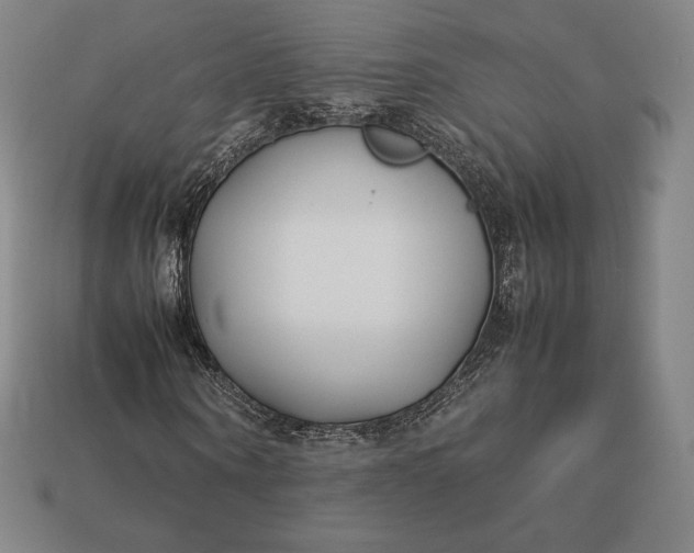 X0000113150866200909181748