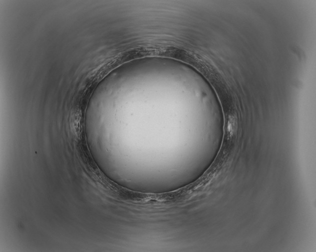 X0000113150867200909181748