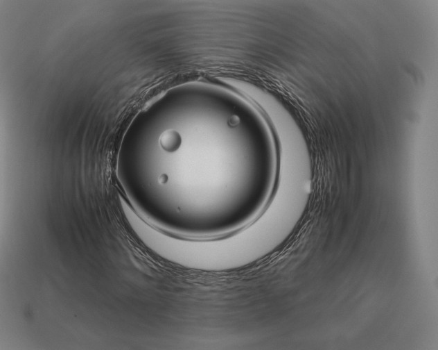 X0000113150868200909181748