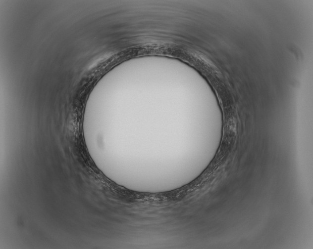 X0000113150869200909181748