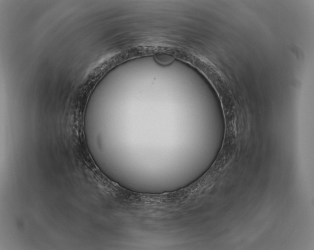 X0000113150870200909181748