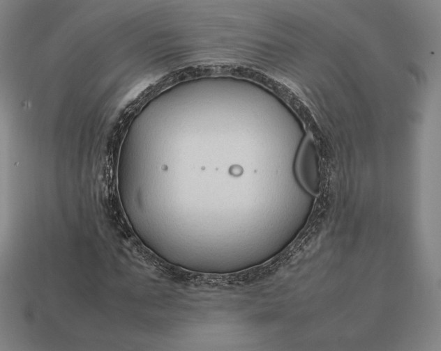 X0000113150871200909181748