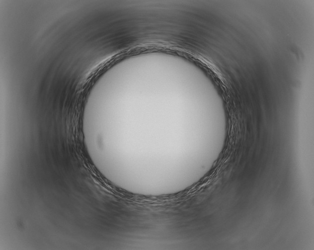 X0000113150872200909181748