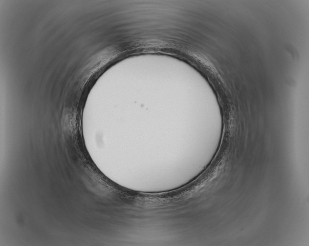 X0000113150873200909181748