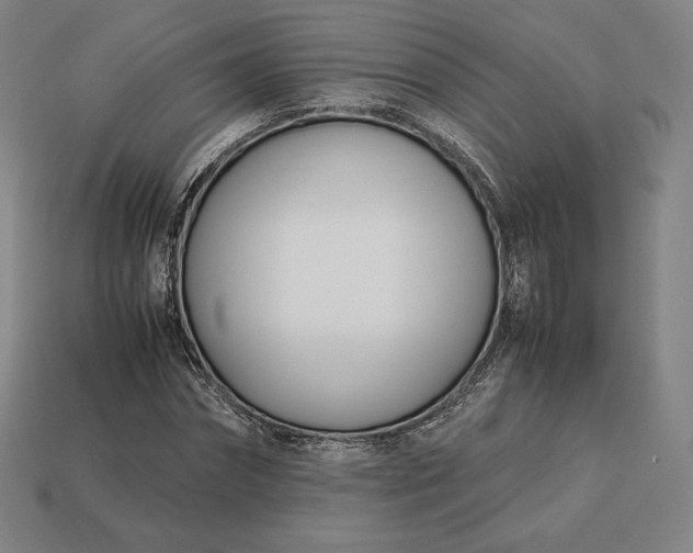 X0000113150874200909181748