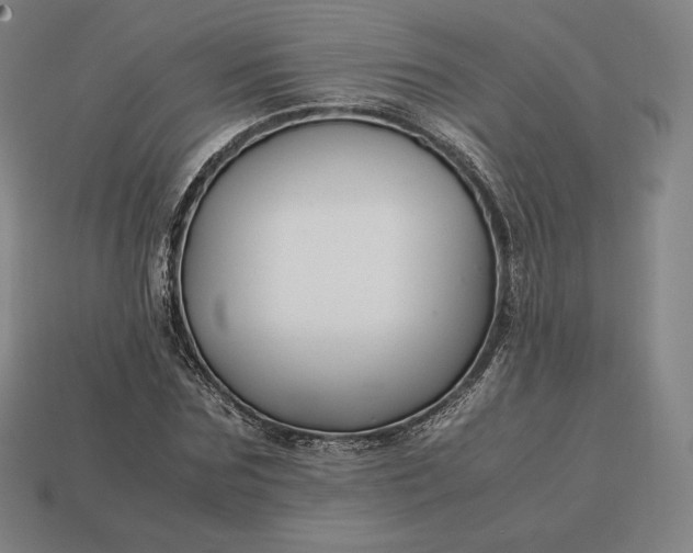 X0000113150875200909181748