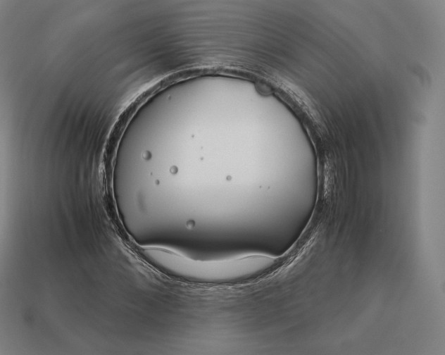 X0000113150876200909181748