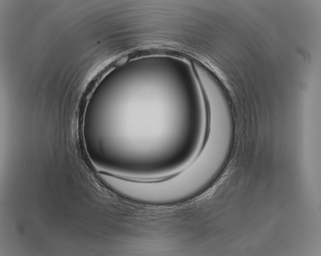 X0000113150877200909181748