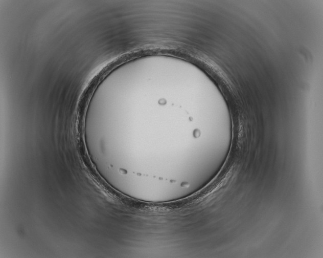 X0000113150878200909181748