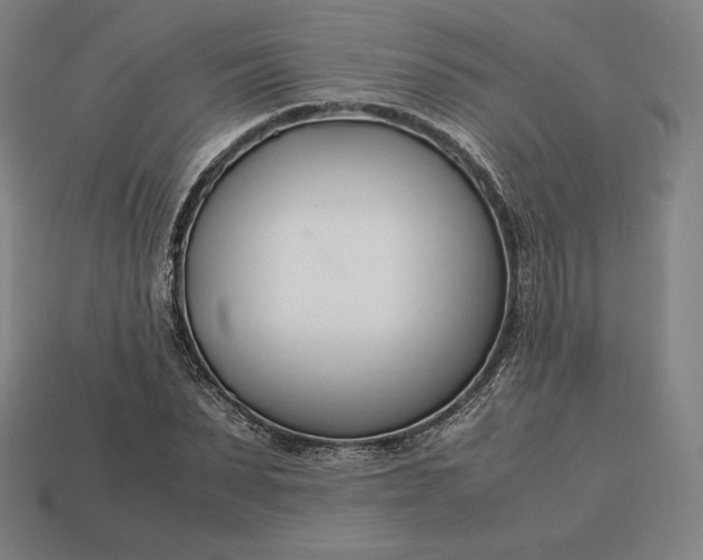 X0000113150879200909181748