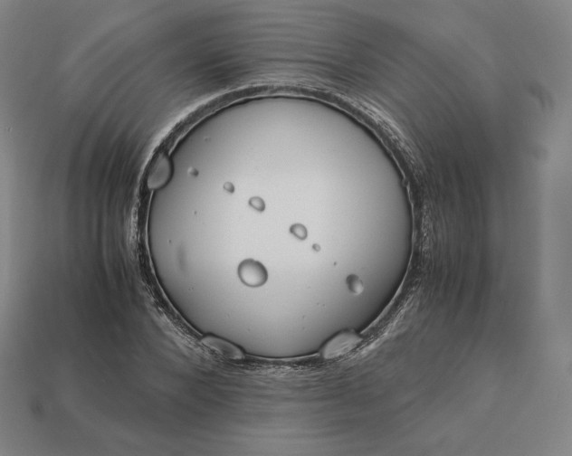 X0000113150880200909181748