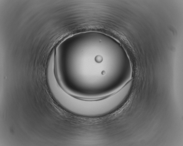 X0000113150881200909181748