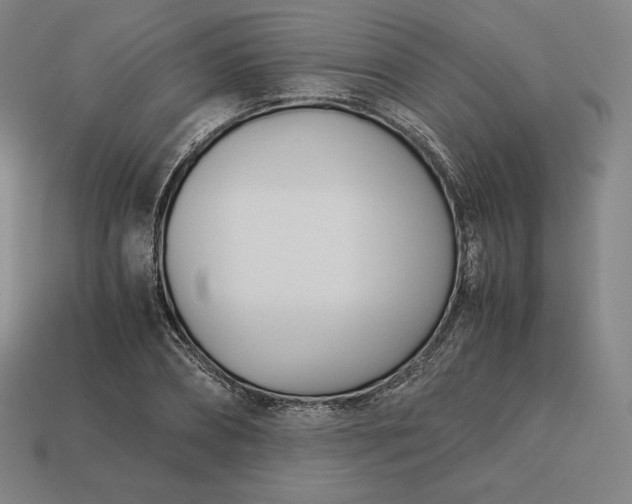 X0000113150882200909181748