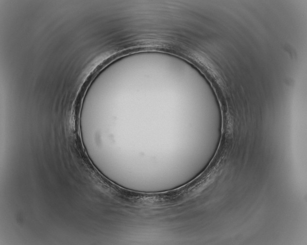 X0000113150883200909181748