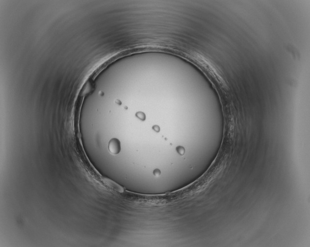 X0000113150884200909181748