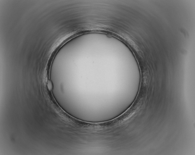 X0000113150885200909181748