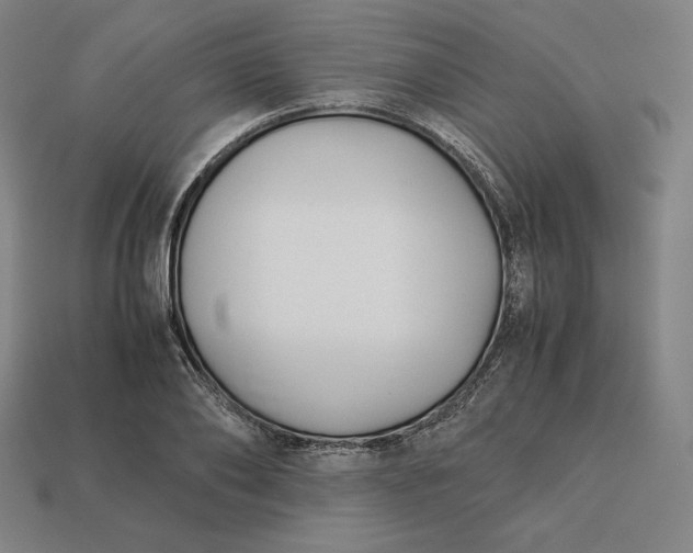 X0000113150886200909181748