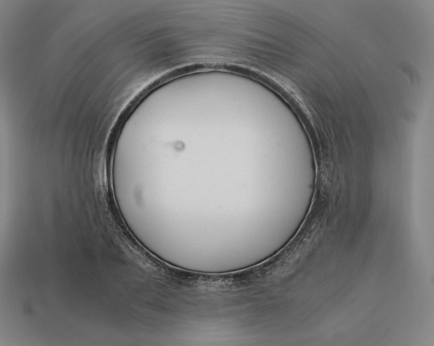 X0000113150887200909181748