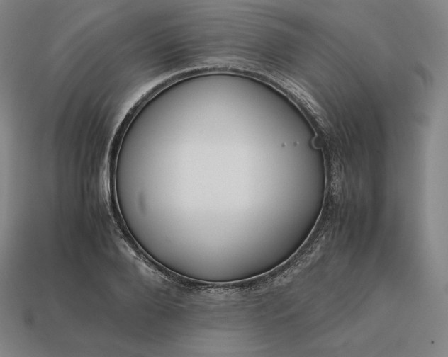 X0000113150888200909181748