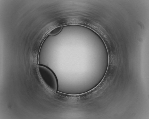 X0000113150889200909181748