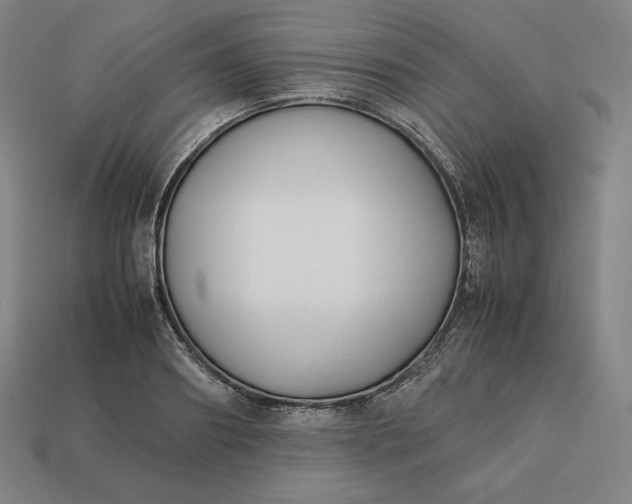 X0000113150890200909181748