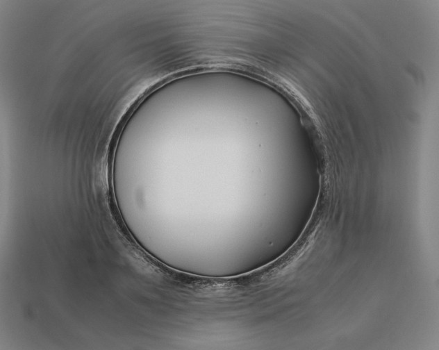 X0000113150891200909181748