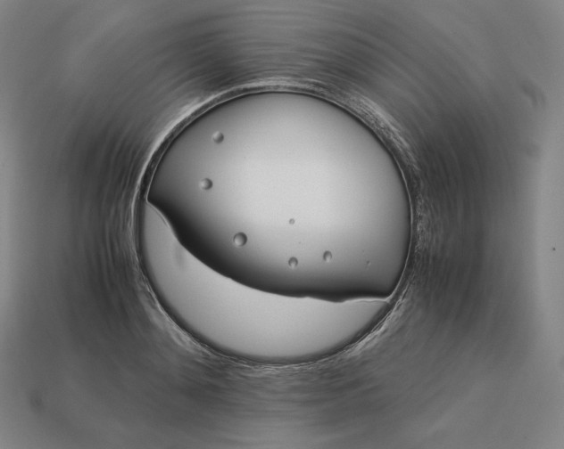 X0000113150892200909181748