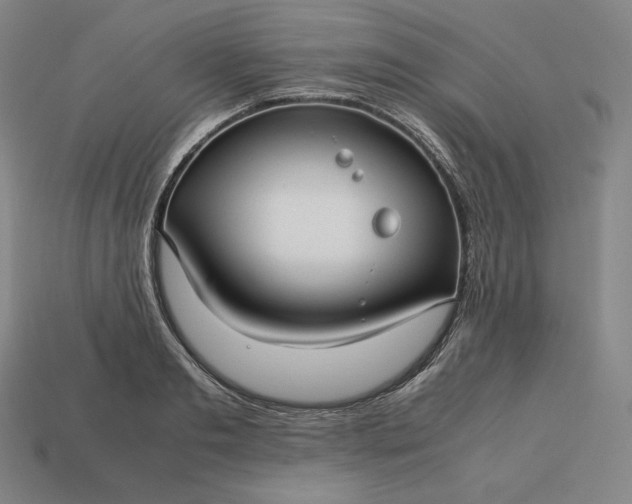 X0000113150893200909181748