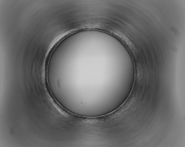 X0000113150894200909181748