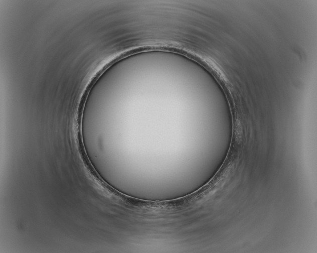 X0000113150895200909181748