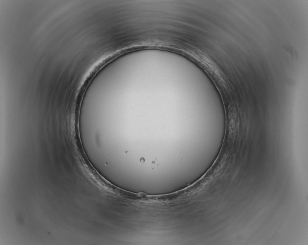 X0000113150896200909181748