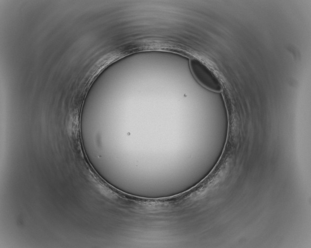 X0000113150897200909181748