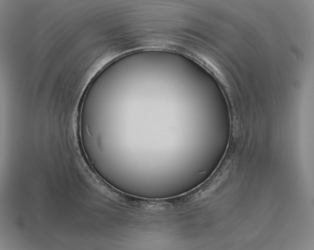 X0000113150899200909181748