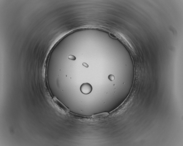 X0000113150900200909181748