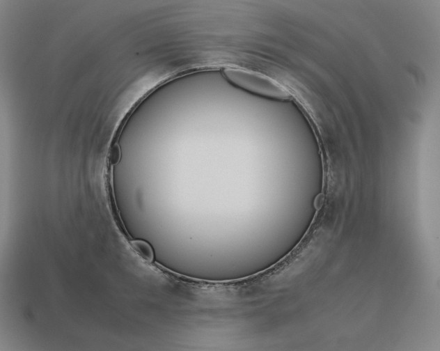 X0000113150901200909181748